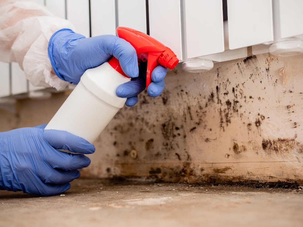 Absolute Mould Remediation Ltd.