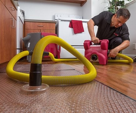 PuroClean Property Restoration Toronto