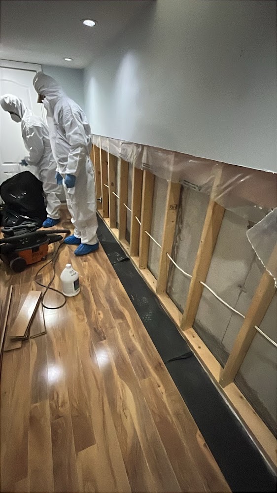Mold Assist of Mississauga