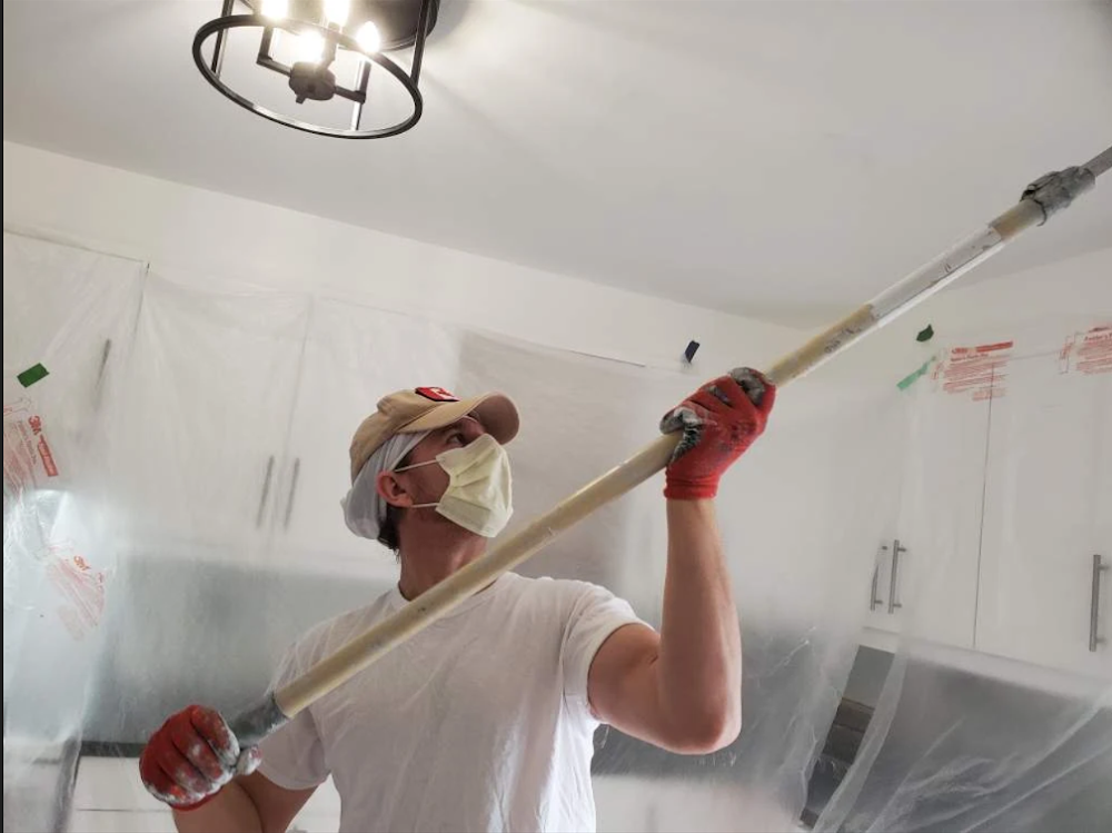 The Painting Plastering Specialist