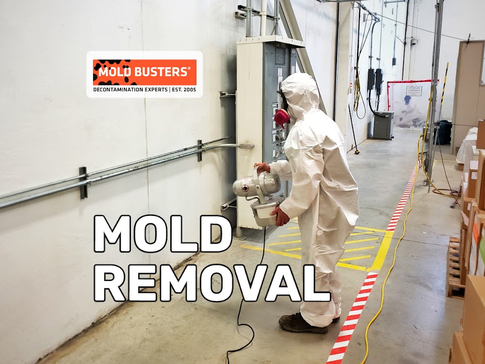 Mold Busters Nepean
