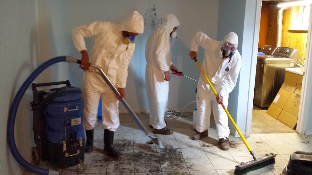 Flood Doctor - Flooded Basement Cleanup, Sewage Backup Services