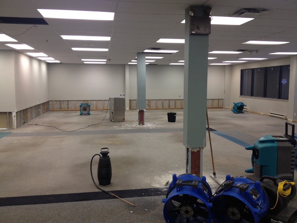 Restoration Mate Burlington