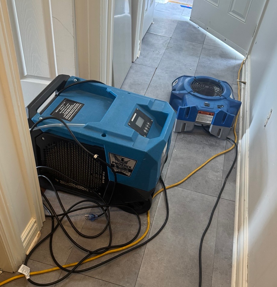 Revive Pro Restoration