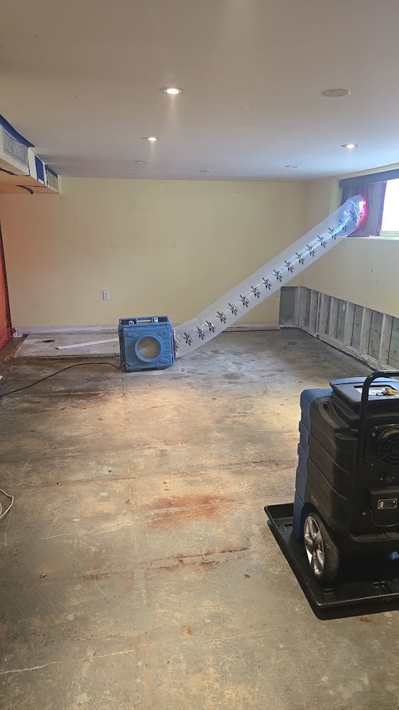 Mold Assist of Brampton