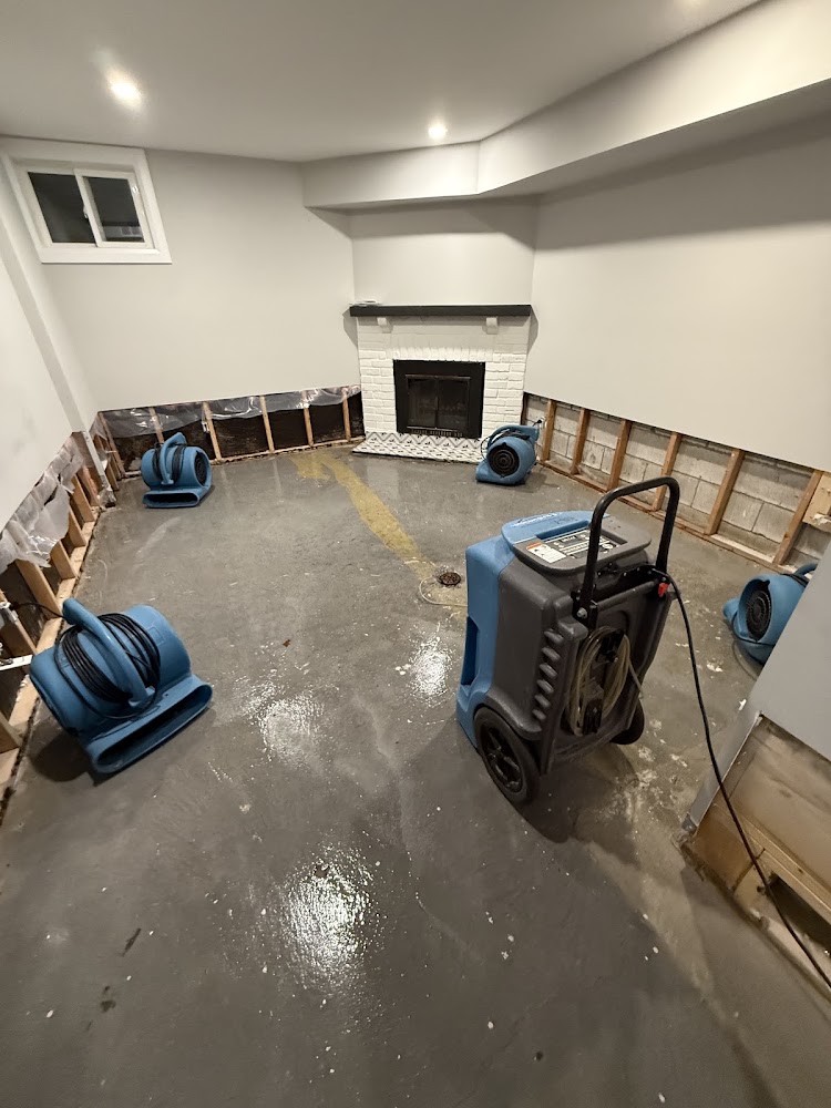 5 Star Cleaning - Water Remediation