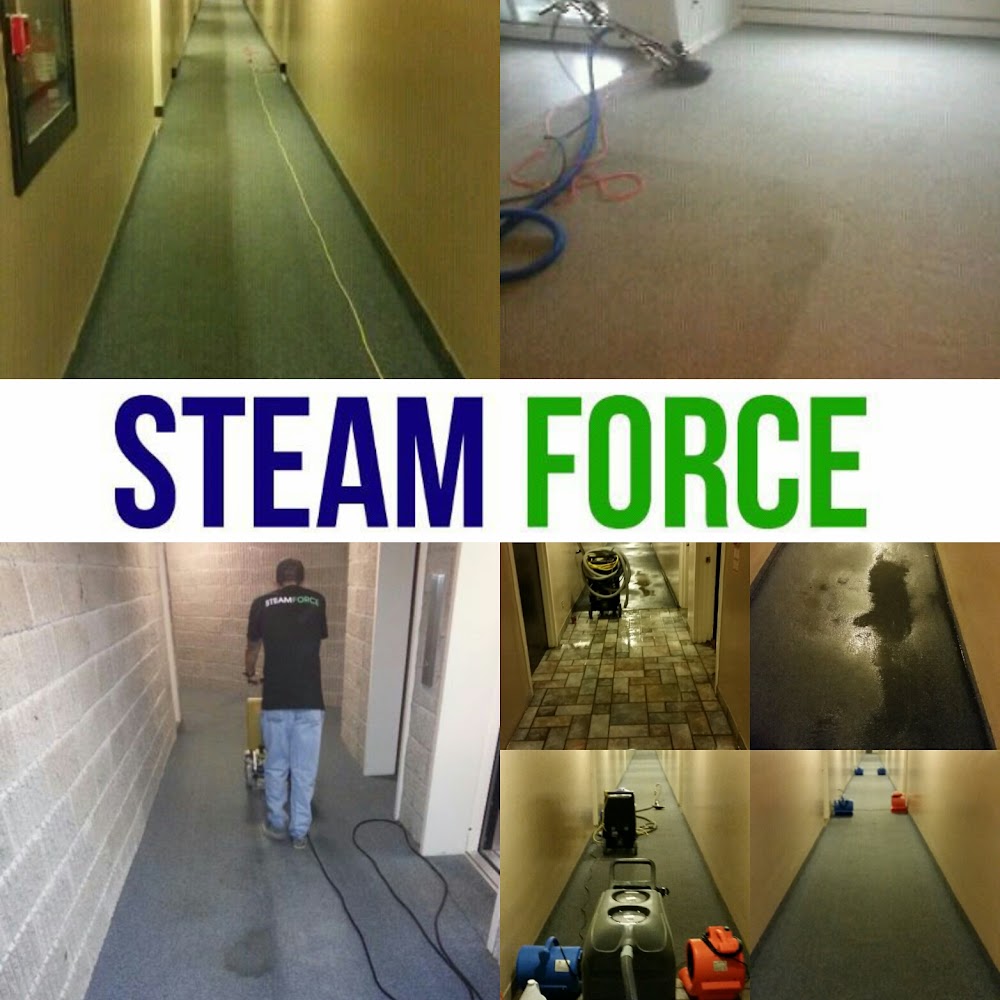 Steam Force Ltd