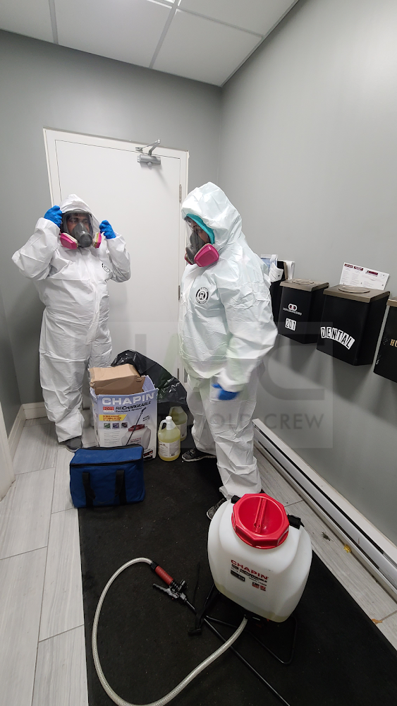 Ultimate Mold Crew - Mold Removal Toronto