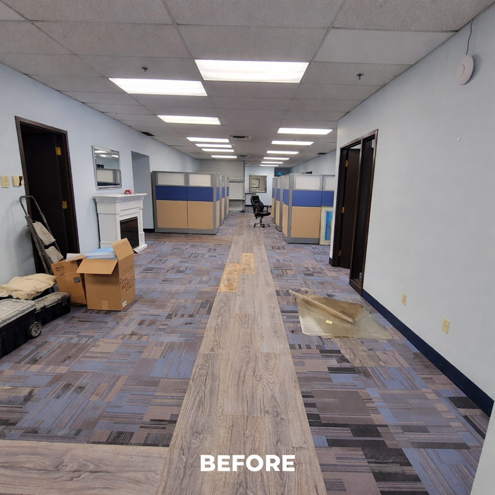 Mold Solutions Canada