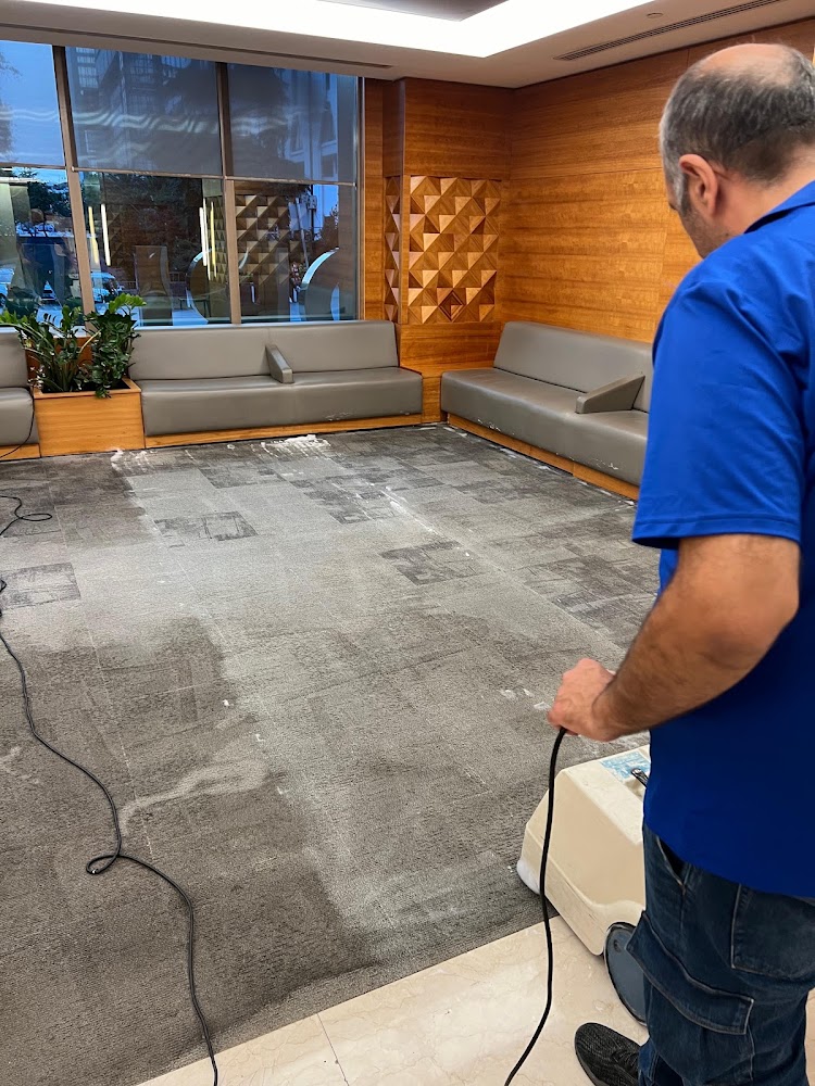 Palmiye House Cleaning Services