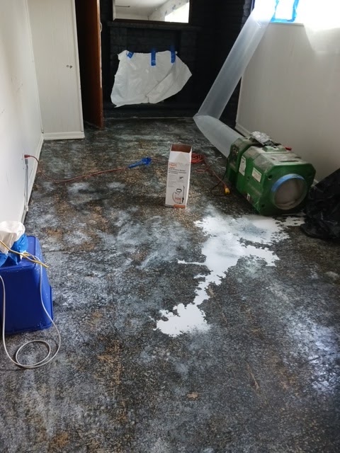 A1 Eco Mould