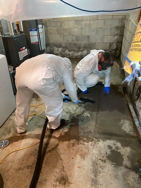 Absolute Mold Remediation Ltd