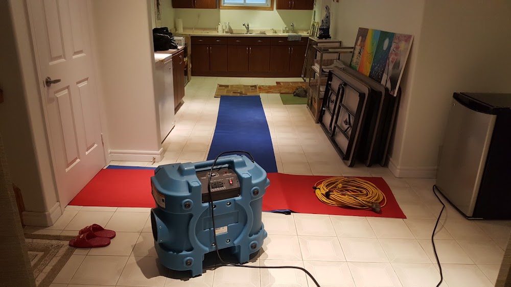 GTA Mold Removal Mississauga