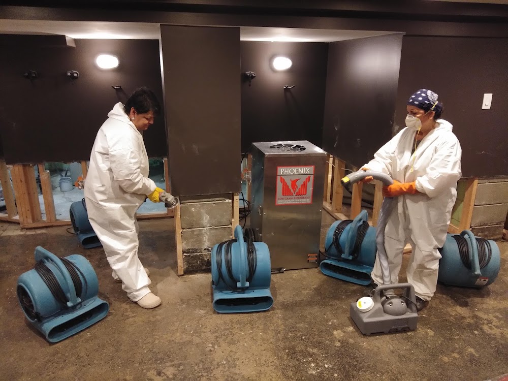 Flood Doctor - Water Damage Restoration - Flood Cleanup Services