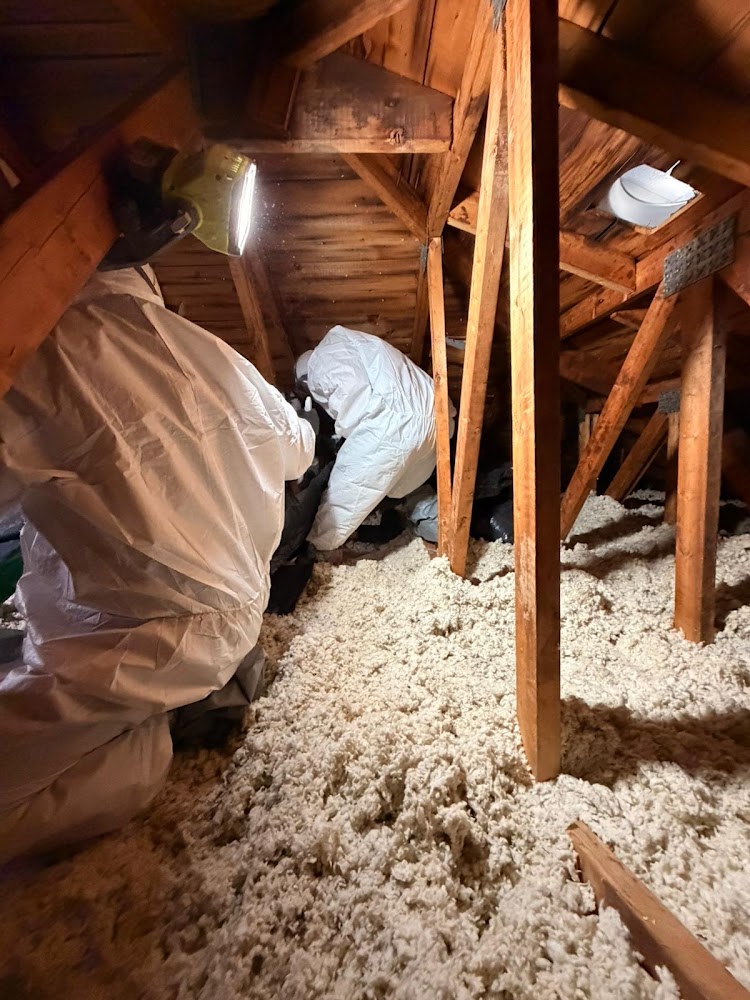 Canada's Restoration Services