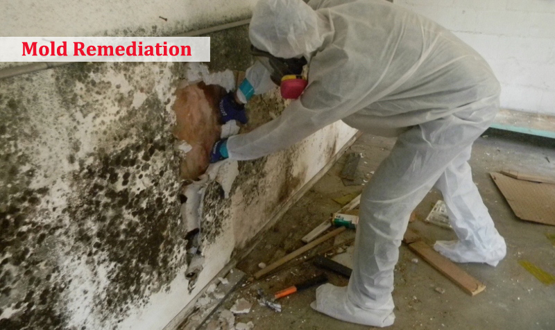 Toronto Water Damage Pros