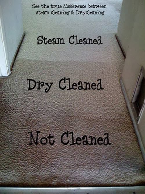 ProGreen Restoration Services