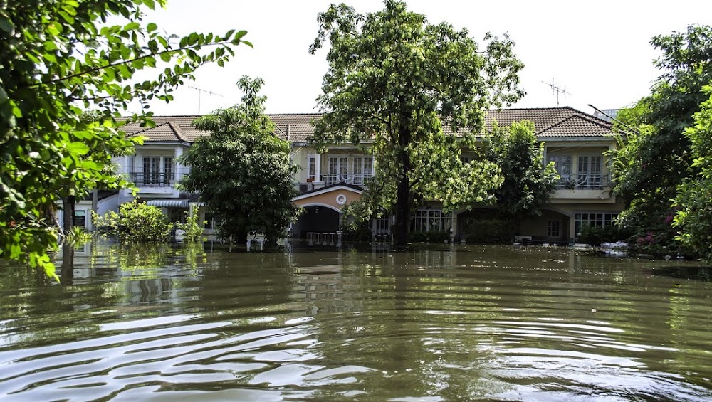 Water Damage Restoration Mississauga