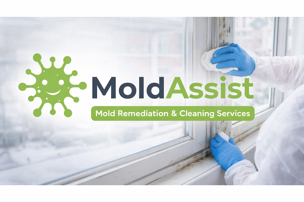 Mold Assist of Barrie