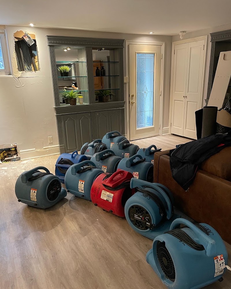 5 Star Dry All - Water Restoration Toronto