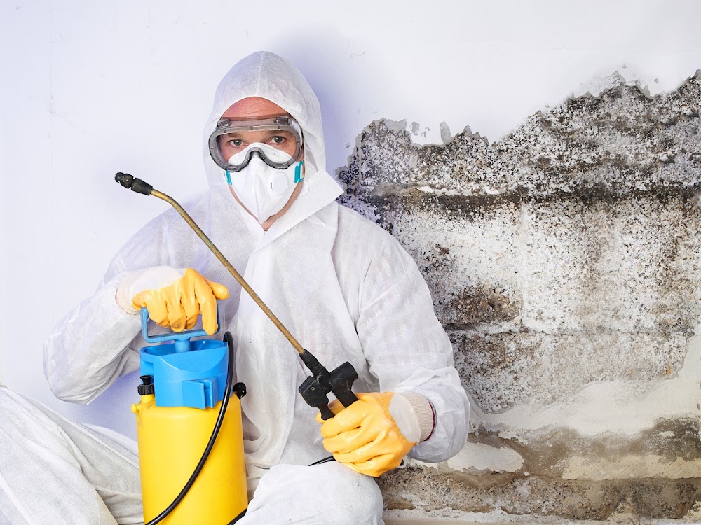 Peril Canada Mold &amp Asbestos Experts
