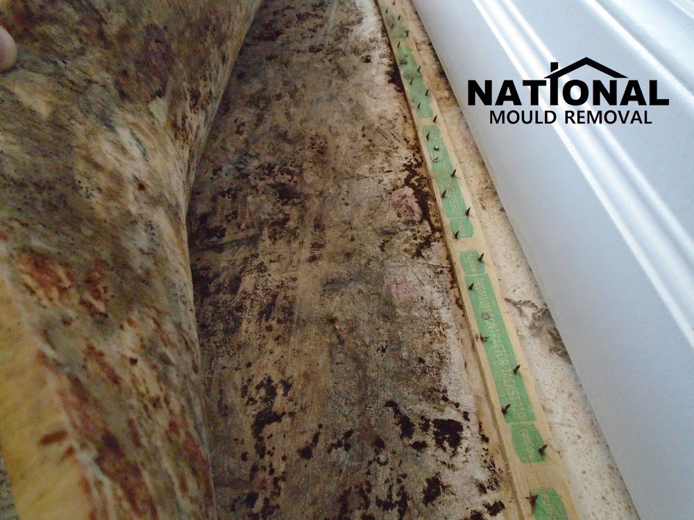 National Mold Inspection & Air Testing
